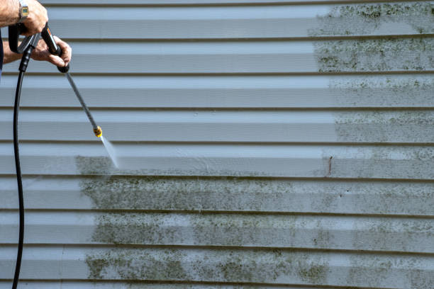 Best Residential Vinyl Siding Installation  in Cloverdale, CA